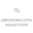 初中生篮球队训练教学视频