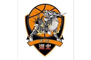 石家庄篮球训练营标志